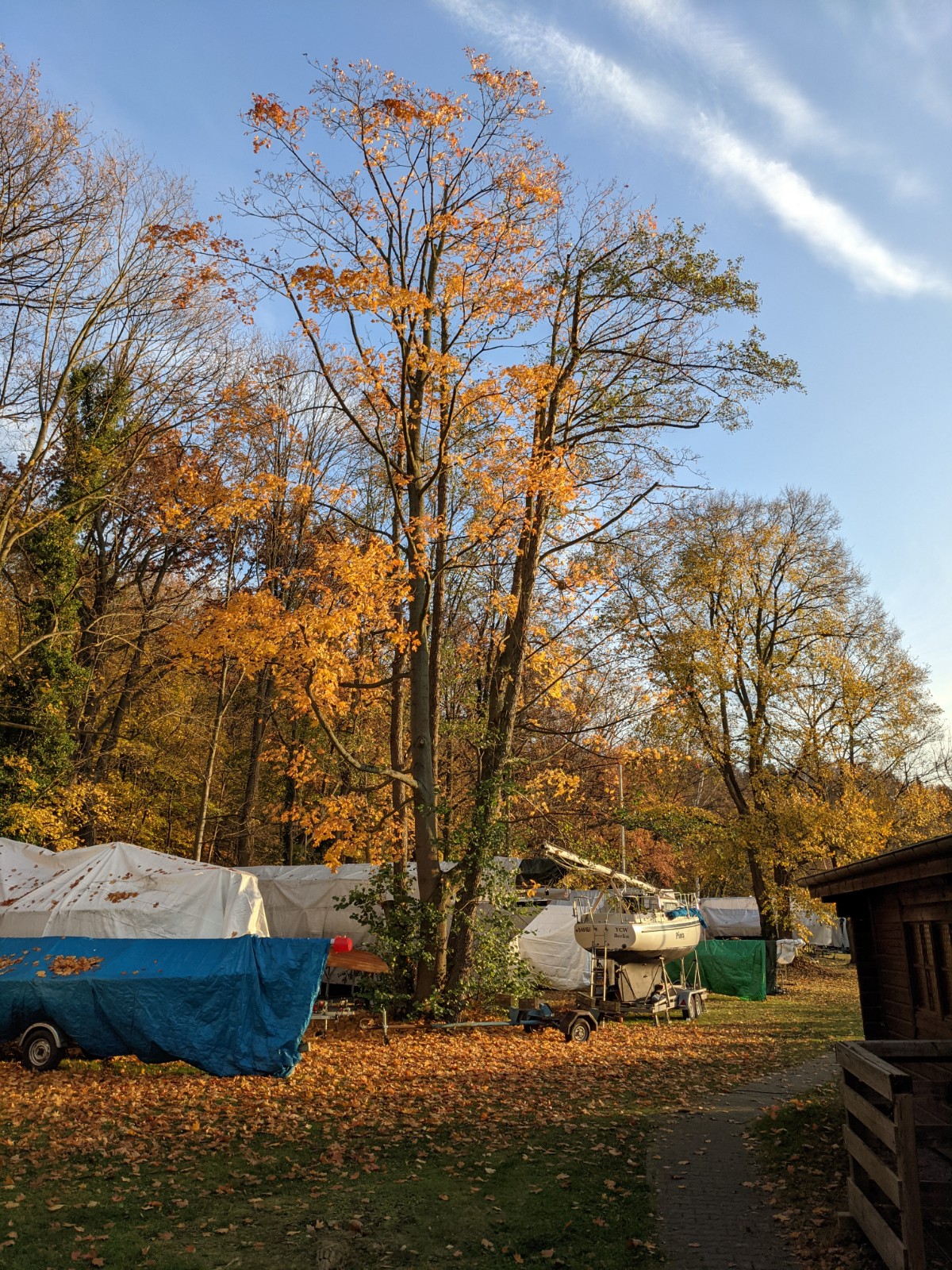 PXL 20211113 141304781