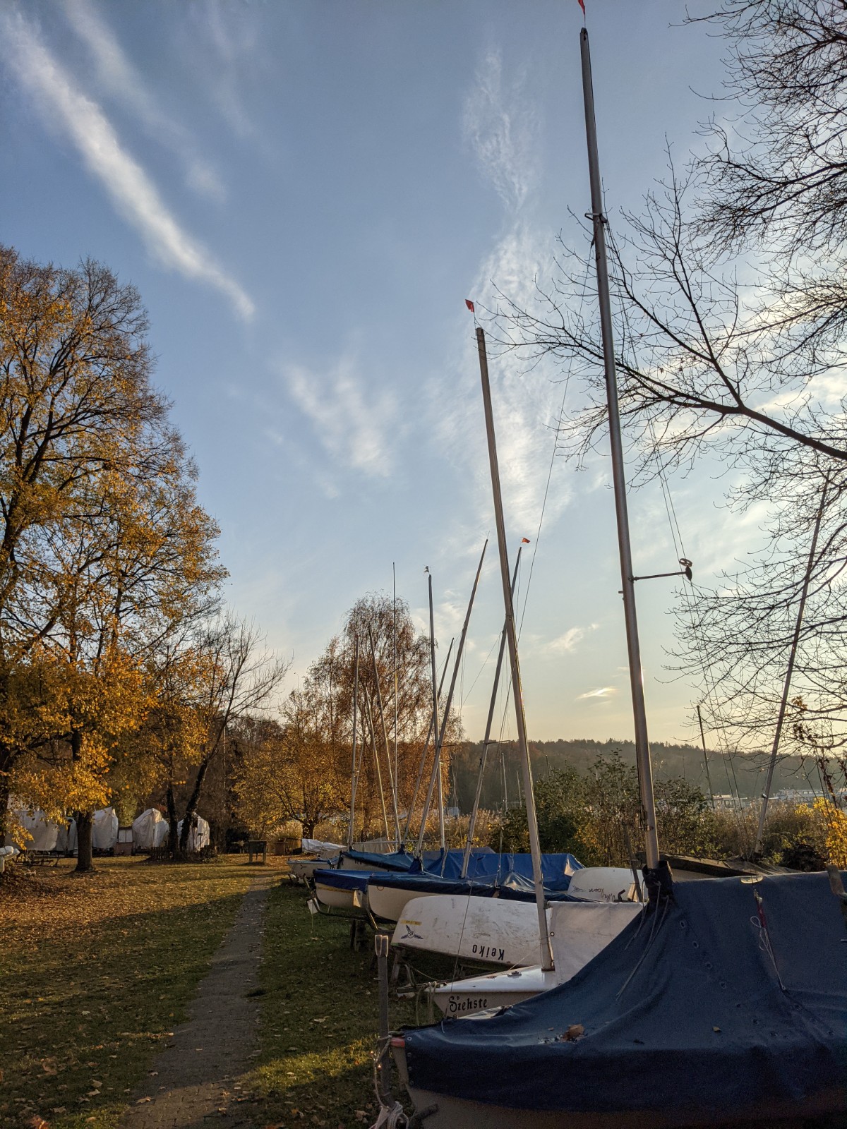 PXL 20211113 141329892